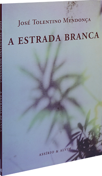 teste